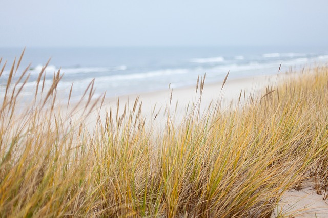 Meer mit Düne: Ort für eine individuell gestaltete Bestattung