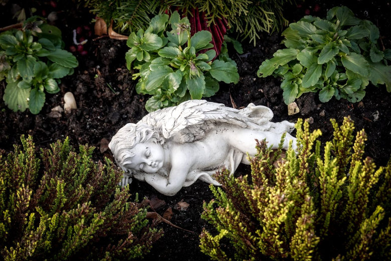 Engelfigur zwischen gepflanzten Bodendeckern am Urnengrab